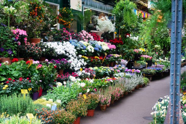 istock Paris flower market 2068105939