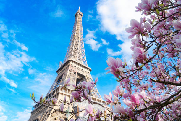 istock eiffel tour and from Trocadero, Paris 2068108543