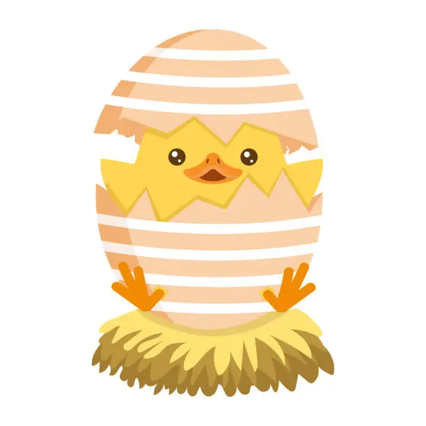Vector illustration of Little Chick Hatching Out The Egg easter