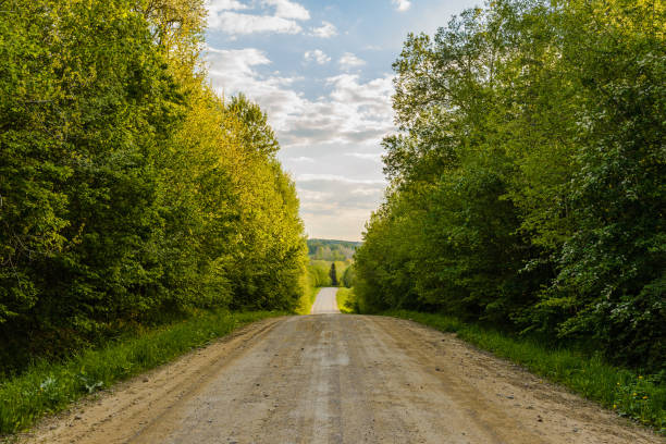 Empty Sandy country road near the forest,fluffy clouds blue sky,summer evening landscape.