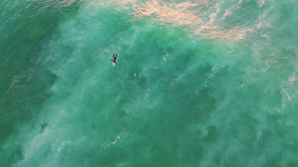 istock Aerial surfer swimming ocean summer weekend. Top shot surfboarder lying wave 2068157532