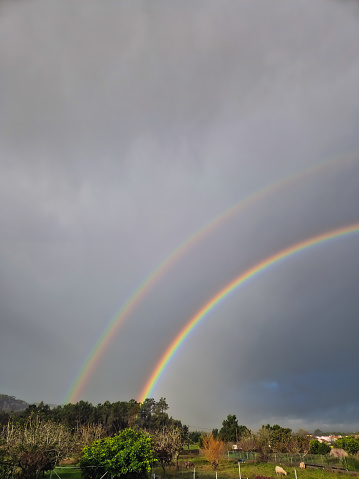 A double rainbow above an agricultural field. Two colorful arches in the cloudy dark sky in the countryside in Portugal. Vertical photo