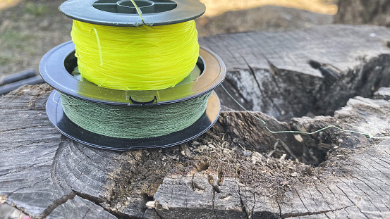fishing gear laid on a stump on a sunny day