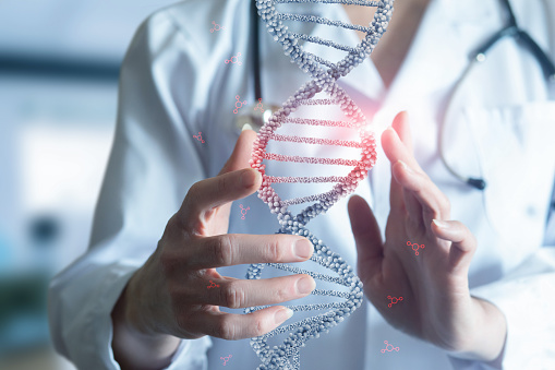 Doctor Dna Doctor Shows Dna Molecules In His Hand Stock Photo - Download Image Now ...