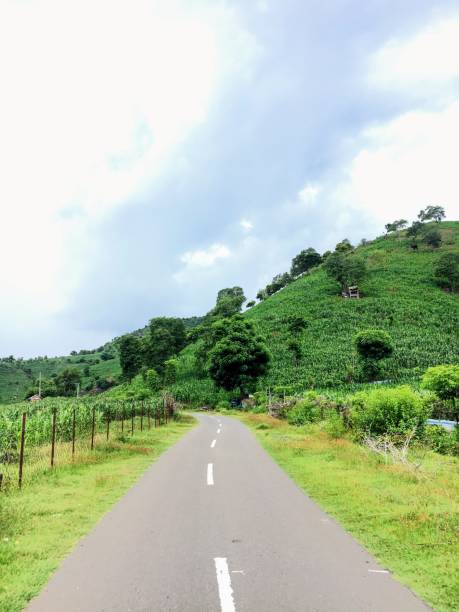 istock The road passes through green plantations and hills 2068266707