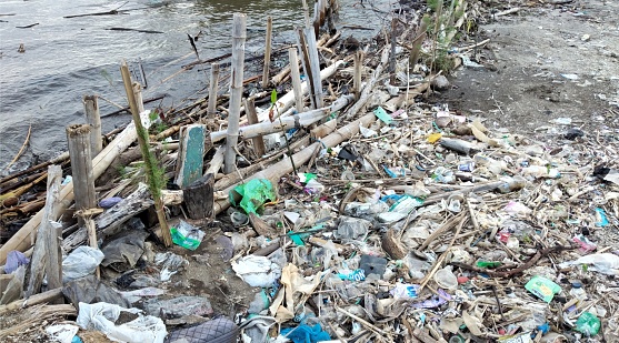 Pile of garbage on the shore of the river. Environmental pollution