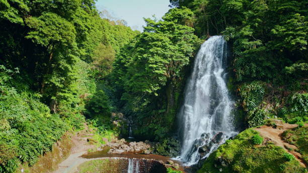 istock Vivid water stream falling in lush green rainforest. Peaceful nature landscape. 2068295518