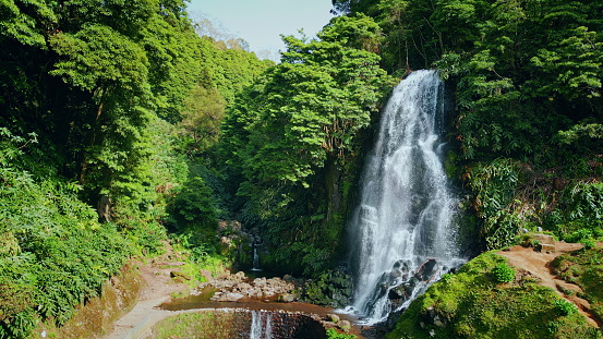 Vivid water stream falling in lush green rainforest. Peaceful nature landscape. Raging waterfall splashing jungle cliff mossy stones flowing aqua pool in summer day. Tropical ecosystem environment.