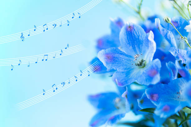 istock Blue flower 