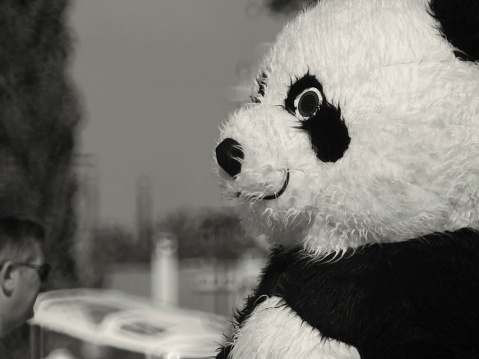 Lisbon, Portugal - June 10, 2023: A streeet artist performs as a panda bear in Lisbon downtown.