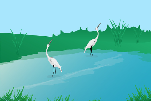 Red Crowned Crane as Long-legged and Long-necked Bird looking to the sky. Vector Illustration