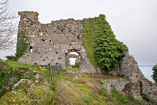 Castle ruins in the Harz Mountains