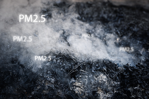 Witness the danger of bonfire smoke and airborne particles, including PM2.5, as they affect the atmosphere. Explore the risks to environmental and respiratory health in outdoor settings