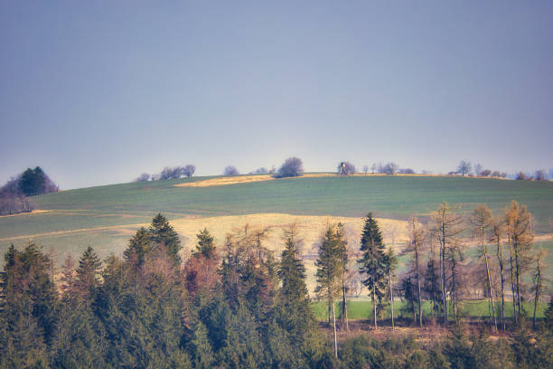 istock Spring on a horse farm in the Thuringian Forest 2068390922