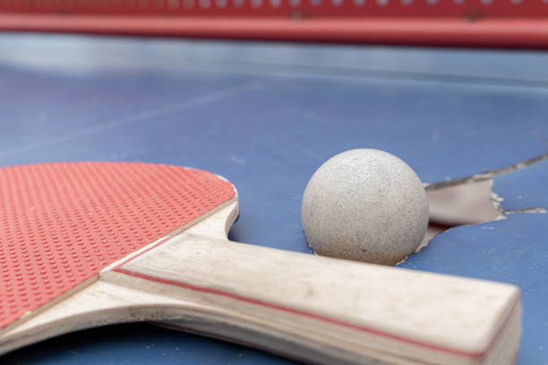 Table tennis is a sport that requires high agility and sensory systems to play. The advantage is that it trains muscles to move continuously in an aerobic manner, and it is also a fun game that can be played by the whole family.