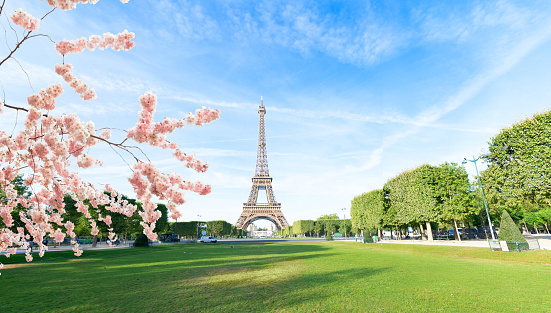Paris Eiffel Tower over green grass grass in Paris, France. Web banner format. Eiffel Tower is one of the most iconic landmarks of Paris. web banner format