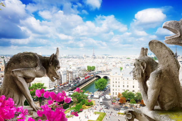 gargoyle of notre dame cathedral church - chimera zdjęcia i obrazy z banku zdjęć