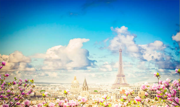 istock skyline of Paris with eiffel tower 2068422346