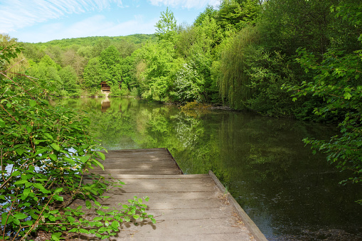 wooden piere on the lake among the beech forest. nature landscape with reflection on the water in summer on a sunny day