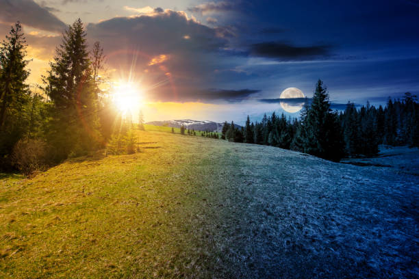 mountain landscape with sun and moon at spring equinox. meadow on the hillside with coniferous forest. day and night time change concept. mysterious countryside scenery in morning light