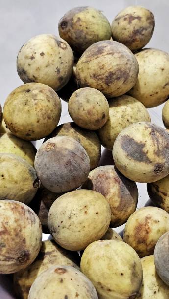 istock Duku Fruits 2068457081