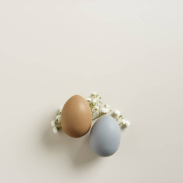 Easter Eggs pattern with White Gypsophila flowers on Light beige Background. Dyed colorful eggs in pastel colors, spring holiday photo, tender soft hues, flatly of celebration food and white blooms
