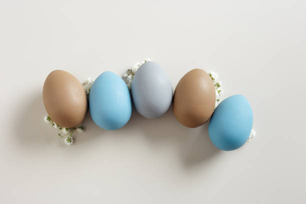 istock Easter Eggs pattern with White Gypsophila flowers on Light beige Background. Dyed colorful eggs in pastel colors, spring holiday photo, tender soft hues, flatly of celebration food and white blooms 2068458660