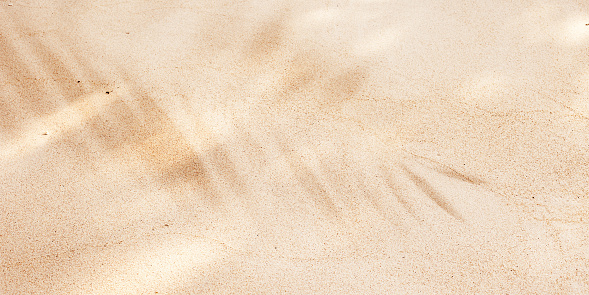 Beige Beach Sand with delicate textures and palm leaf shadow, fine sandy beach at sunlight, minimal nature banner, calm relahation concept, natural shore ocean or sea close up texture outdoor