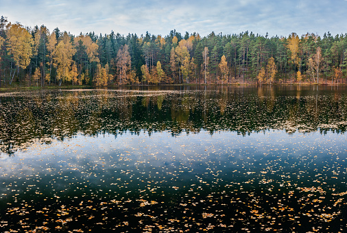 Velnezers lake also called Devils lake near the city of Aglona on a autumn evening