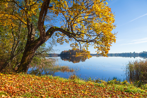 An autumn landscape on the shore of Jumurda lake