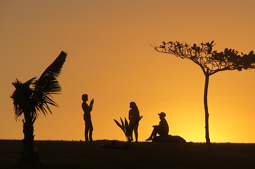 Silhouettes of young three people enjoying a serene sunset, surrounded by natures beauty