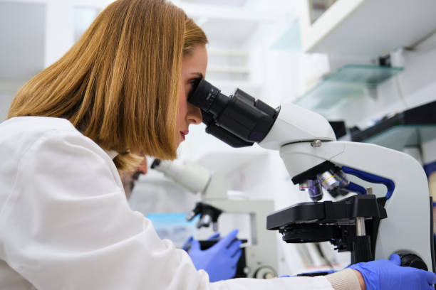 istock Female scientist looking through microscope in a biochemical laboratory. 2068488482
