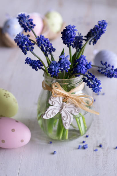 istock bouquet of muscari 2068506018
