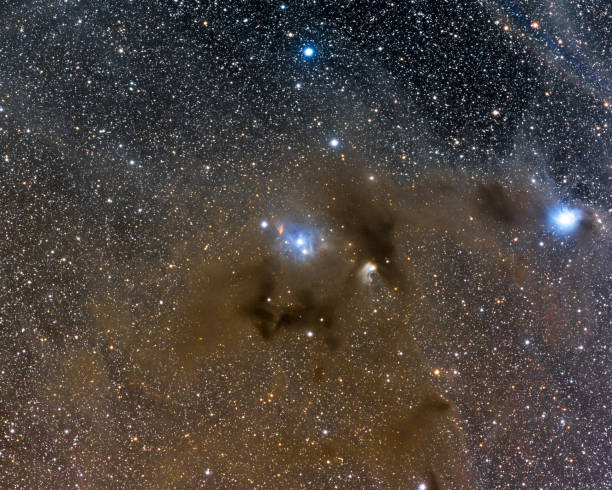 istock Astrophotography - Chamaeleon Molecular Cloud
and Cederblad 111  - TelescopeLive Data 2068512972