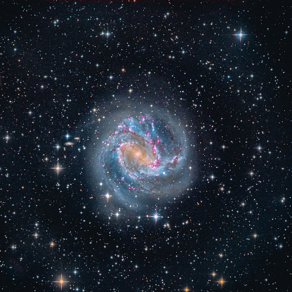 Astrophotography - The Southern Pinwheel Galaxy M83. With a lot of small fuzzies.