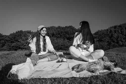 Couple of young women and dog sit and have fun on picnic. Girl friends talk and drink from wineglasses on blanket spread on grass