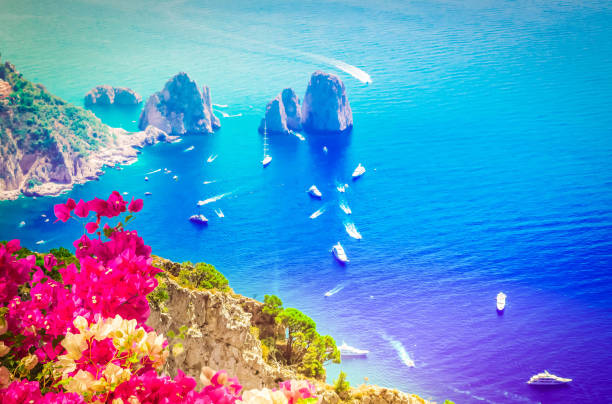 Famous Faraglioni cliffs and Tyrrhenian Sea with flowers, Capri island, Italy