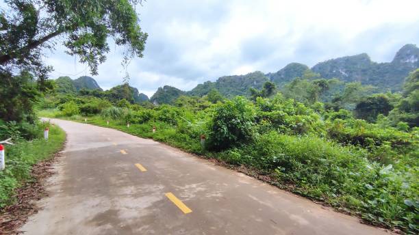 istock Road in the jungle, Cat Ba, Vietnam 2068614503
