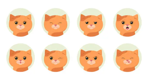Vector illustration of Set of cartoon ginger tabby cats with different emotions. Emotional cat. Vector illustration