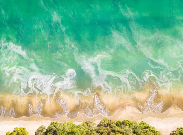 Pollution near the beach