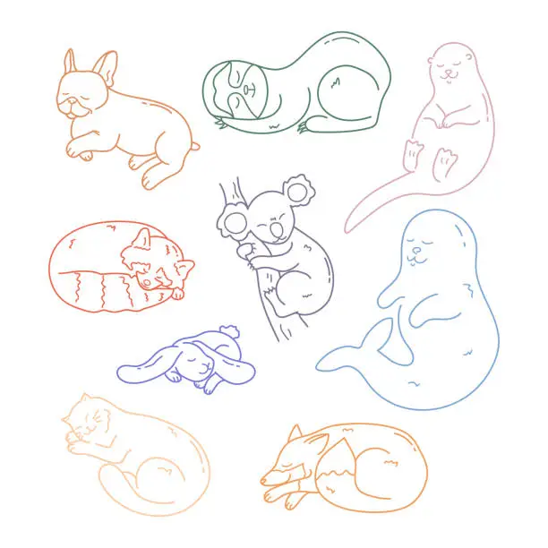 Vector illustration of Set of cute hand drawn different sleeping animals outlines. Doodle sleepy cat, otter, seal, koala, French bulldog, rabbit, fox, red panda and sloth animal. Vector illustration