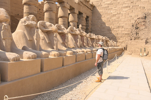 Tourist man wearing a hat and dressed in green and brown clothes looking at rams statues in Karnak Temple, Egypt