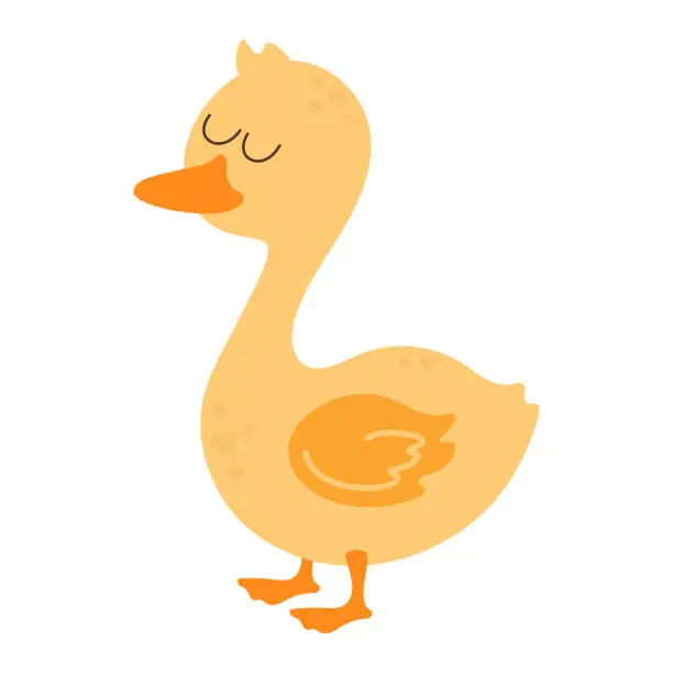 Vector illustration of cartoon duck isolated on white