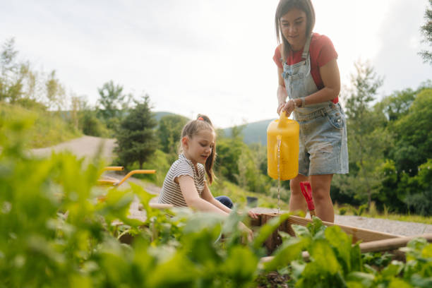 istock Taking care of our garden bed 2068632533