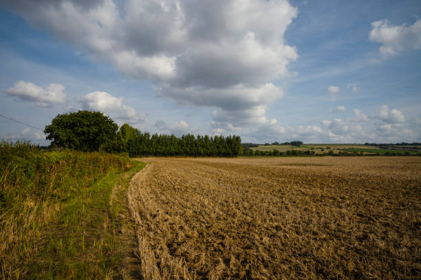 A ploughed field with a distant treelike, a hedge and a big cloudscape. An area in Romney Marsh.
