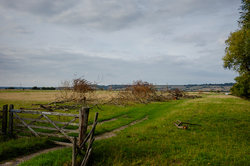 A wooden five bar gate leads into a green field with recently cut branches and tracks leading to a distant horizon. An area in Romney Marsh.