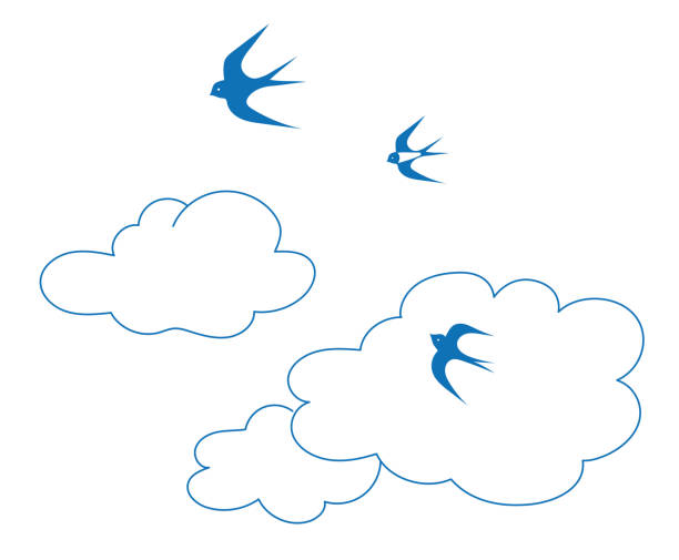 One color simple drawing flying swallows in summer sky vector art illustration