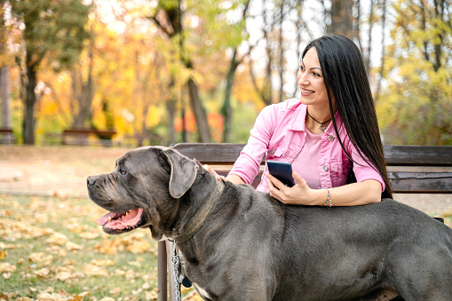 Female pet sitter using phone while walking a dog in the park