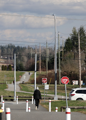 Surrey, Canada - March 5, 2024: Looking east as a pedestrian crosses 160th Street south of 96th Avenue on the green belt. Winter afternoon in the Fleetwood-Tynehead neighbourhood of Surrey in Metro Vancouver.