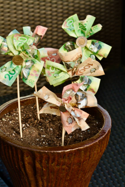 Money tree at a buddhist temple in Thailand where financial donations are placed in order to receive merit and good fortune